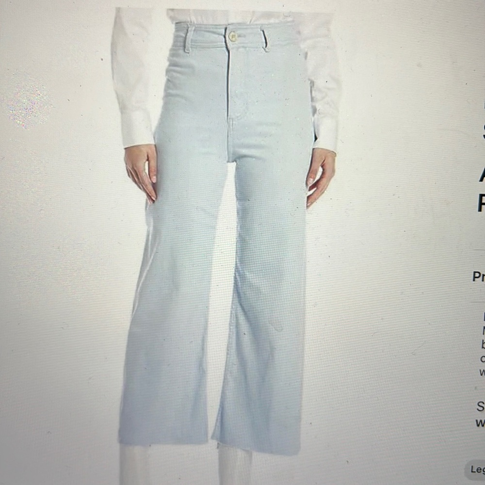 ANTONIO MELANI Alexandra wide leg pants NWOT